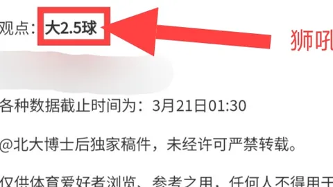 汉诺威vs埃弗斯堡对决，专家解读战术与赛果